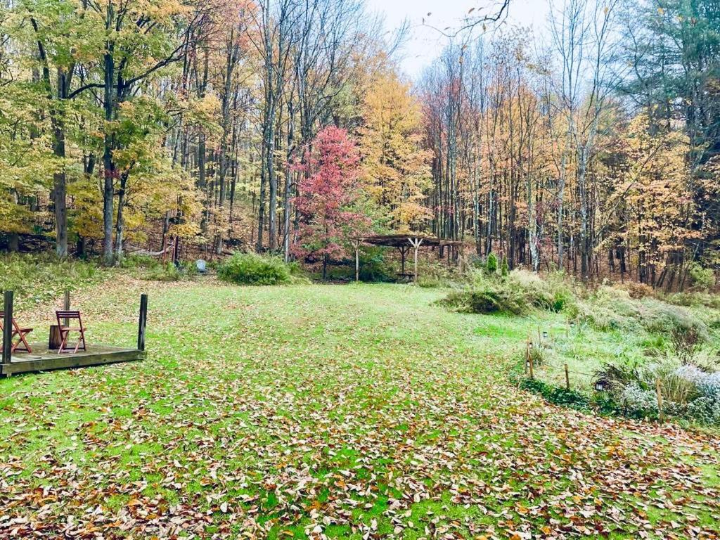 Livingston Manor Cozy Cottage With Jacuzzi And Fire Pit And Reading Nook! מראה חיצוני תמונה