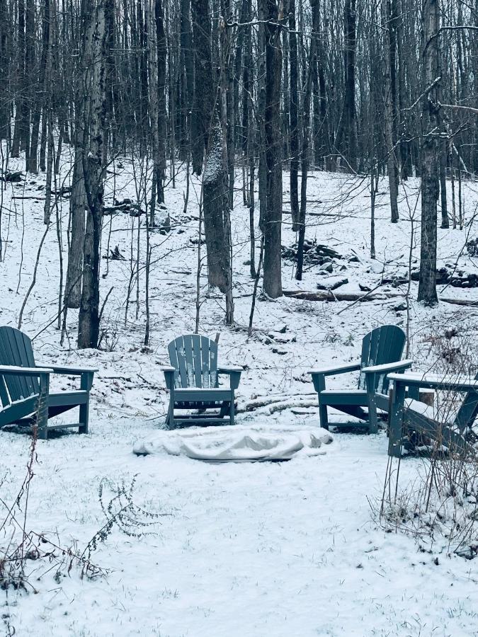 Livingston Manor Cozy Cottage With Jacuzzi And Fire Pit And Reading Nook! מראה חיצוני תמונה