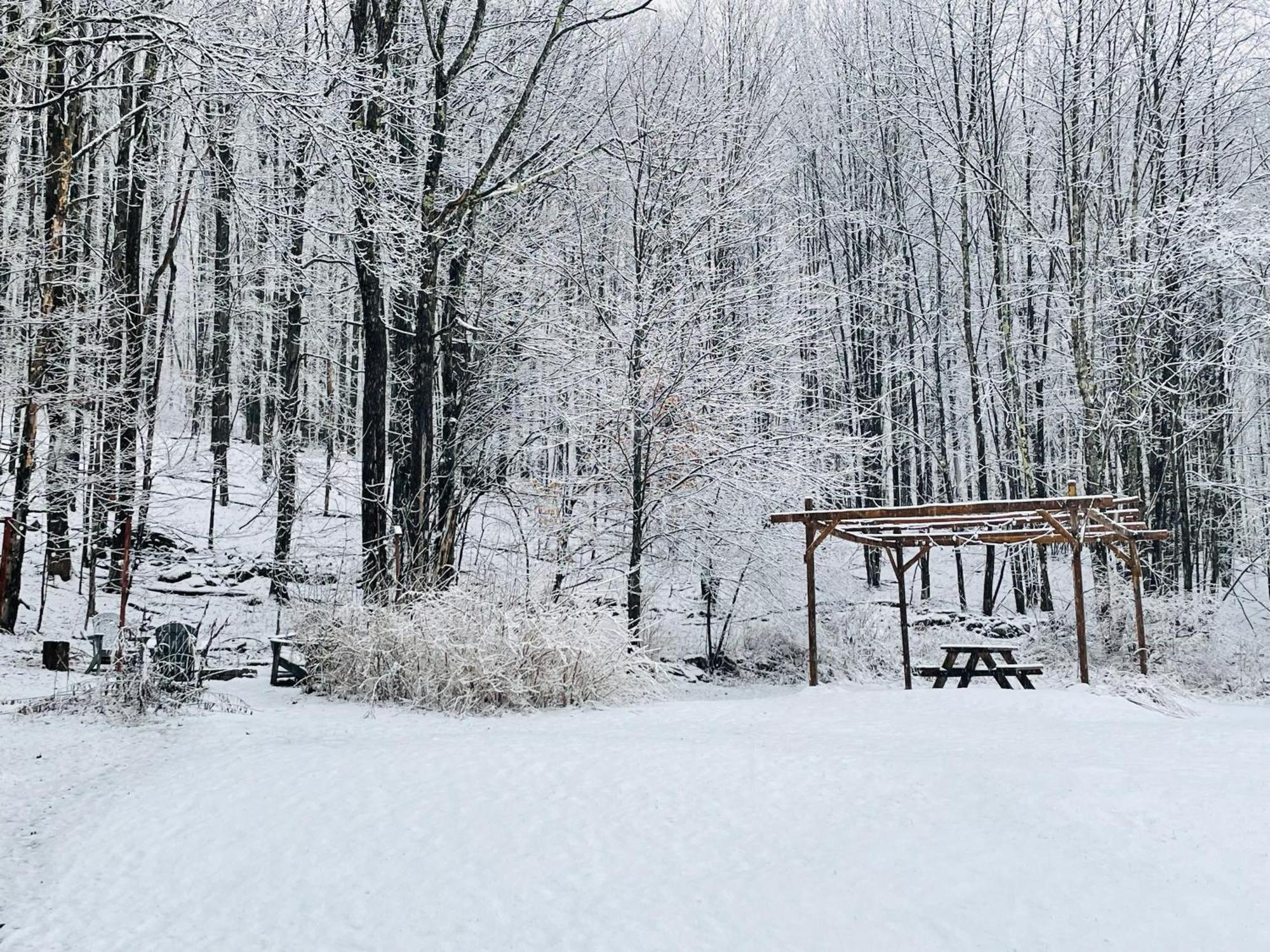 Livingston Manor Cozy Cottage With Jacuzzi And Fire Pit And Reading Nook! מראה חיצוני תמונה