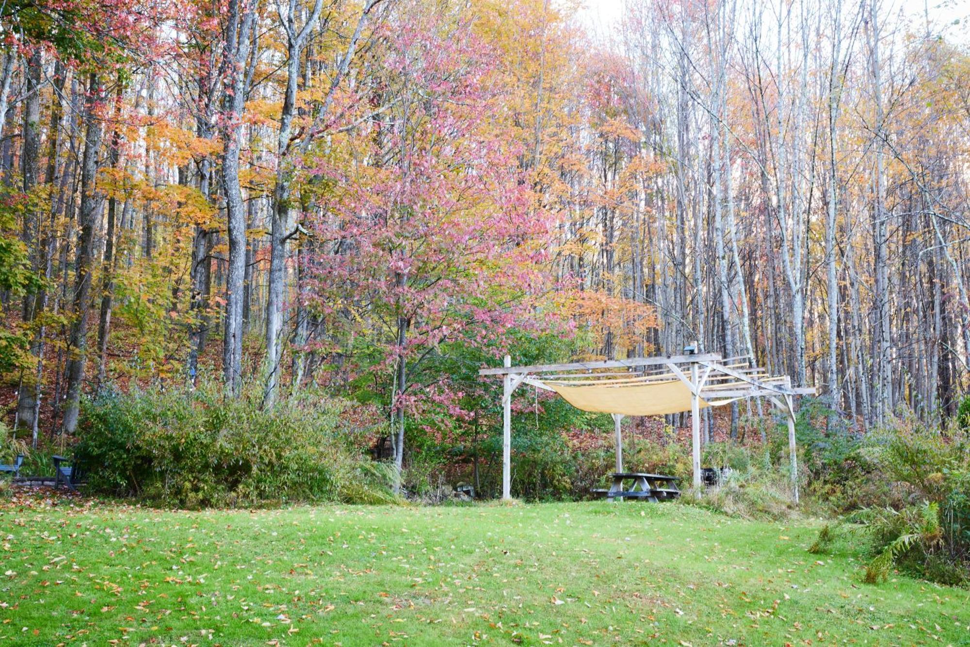 Livingston Manor Cozy Cottage With Jacuzzi And Fire Pit And Reading Nook! מראה חיצוני תמונה